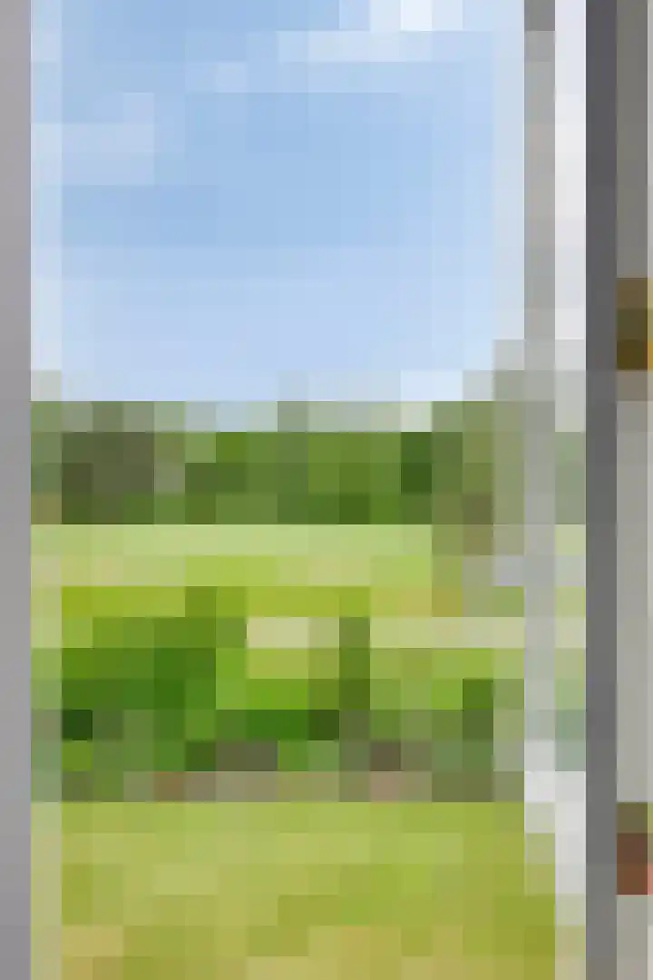 Gruun 14 Appelscha thumbnail 30