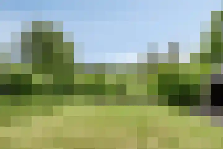 Gruun 14 Appelscha thumbnail 35