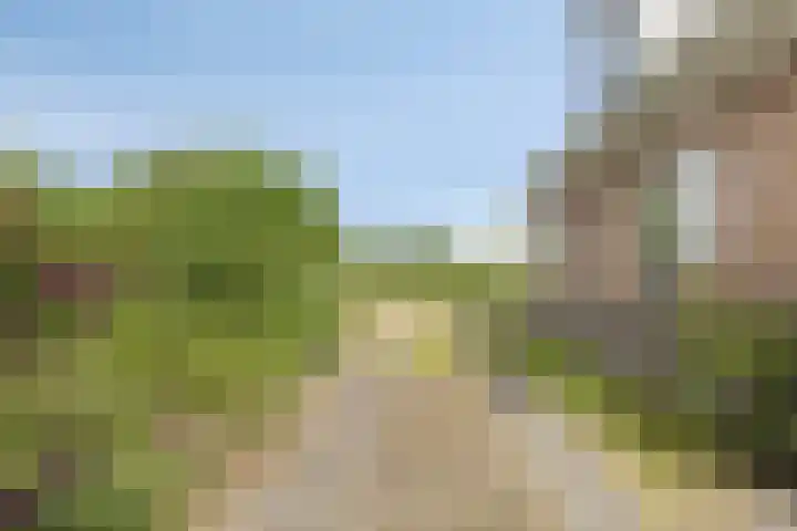 Gruun 14 Appelscha thumbnail 39