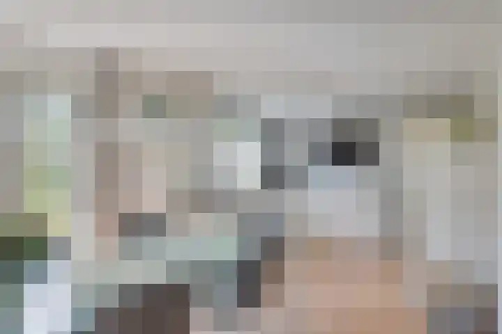 Gruun 14 Appelscha thumbnail 4