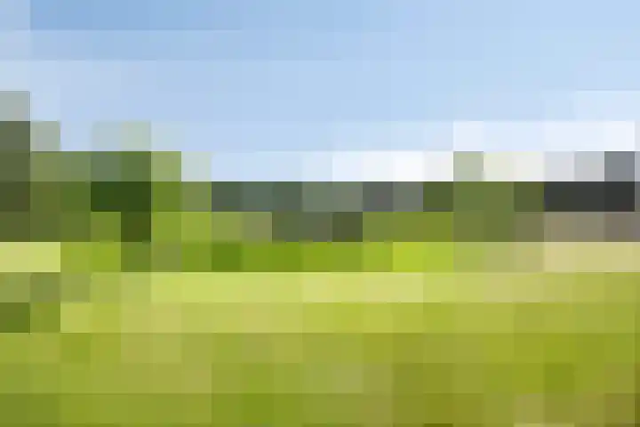 Gruun 14 Appelscha thumbnail 43