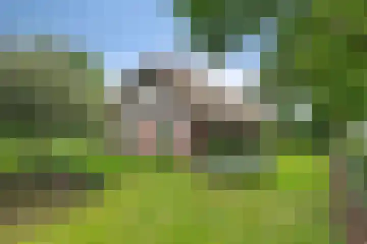 Gruun 7 dans Appelscha