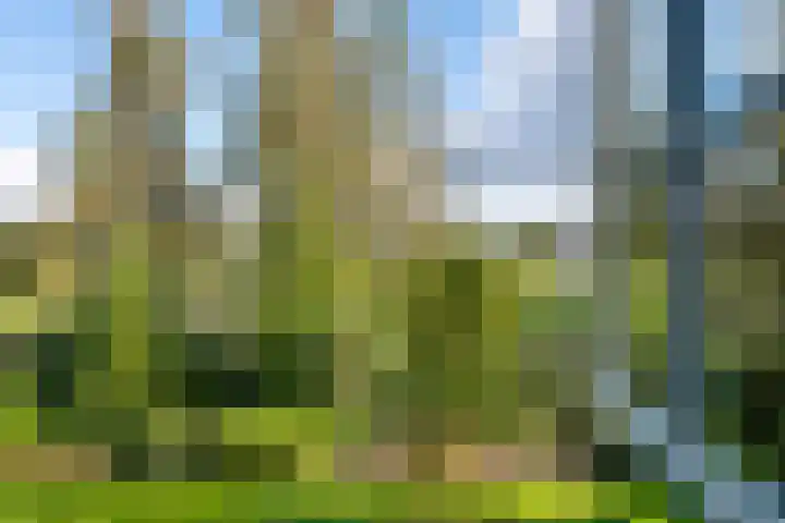 Gruun 7 Appelscha thumbnail 21