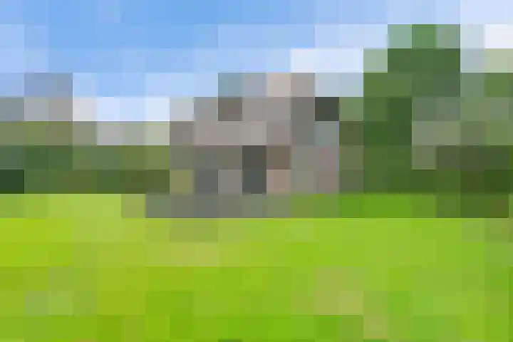 Gruun 7 Appelscha thumbnail 33