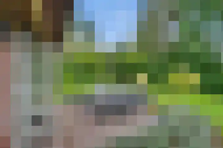 Gruun 7 Appelscha thumbnail 35