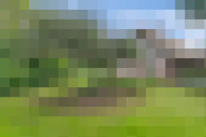 Gruun 7 Appelscha thumbnail 36