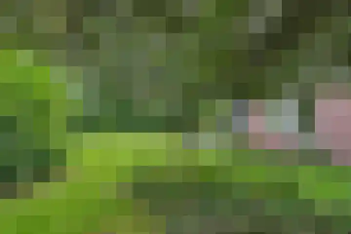 Gruun 7 Appelscha thumbnail 37