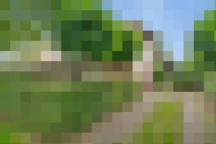 Gruun 7 Appelscha thumbnail 4