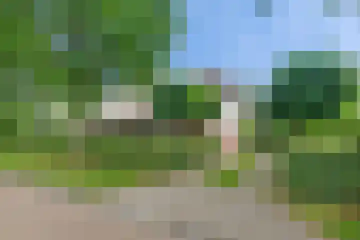 Gruun 7 Appelscha thumbnail 43