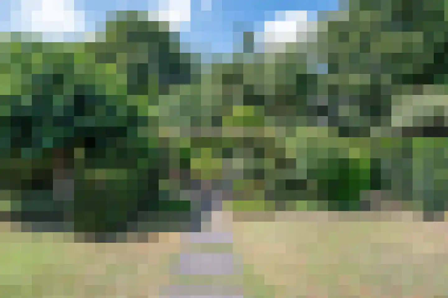 Gruunsel 13 Uden thumbnail 11