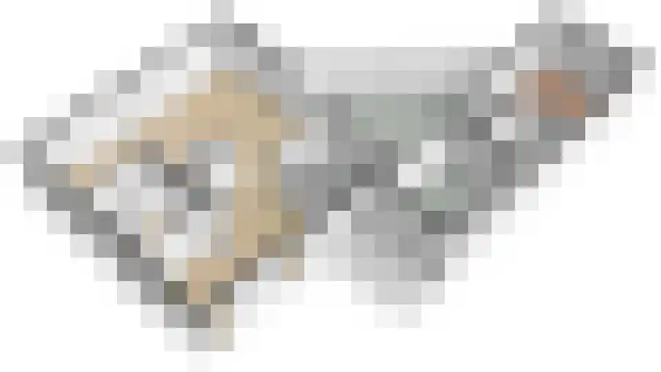 Gruunsel 13 Uden thumbnail 49