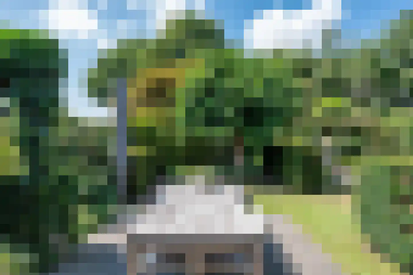 Gruunsel 13 Uden thumbnail 9