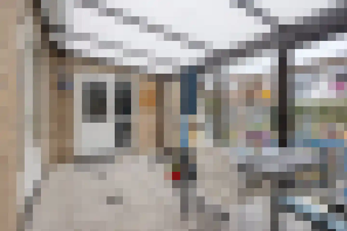 Gruytersstraat 3 Stein thumbnail 11