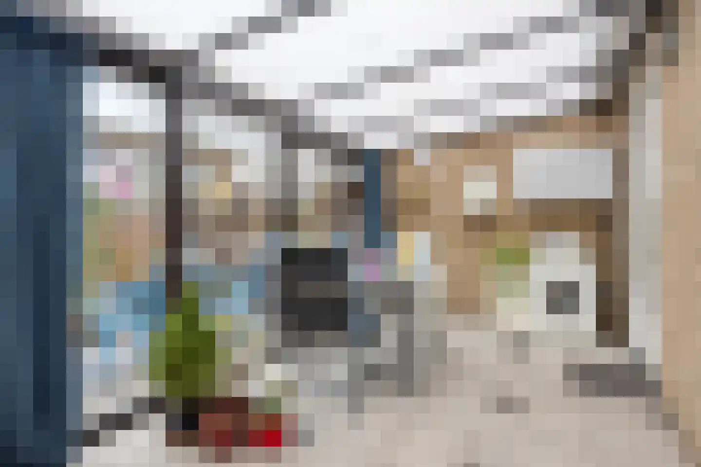 Gruytersstraat 3 Stein thumbnail 12