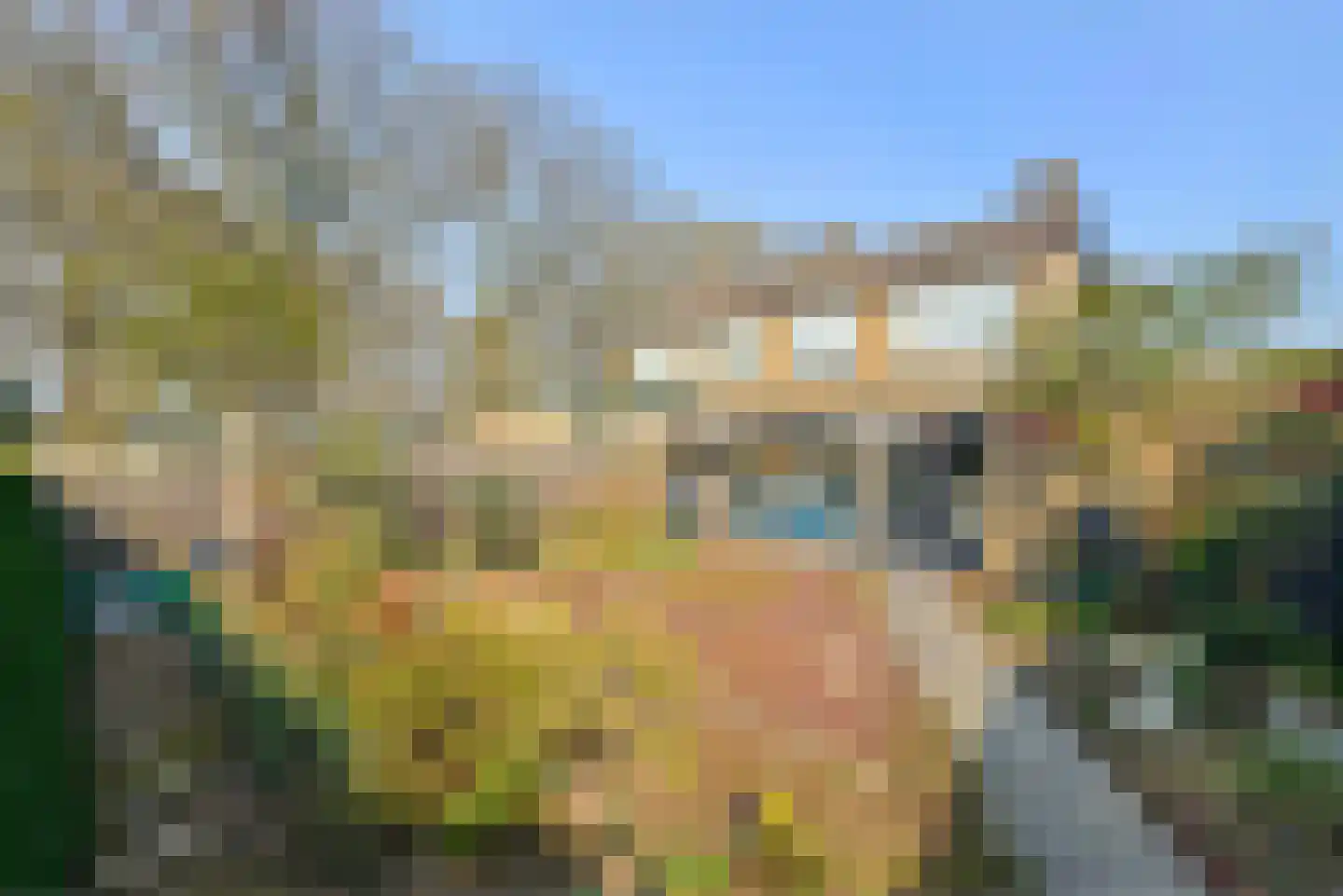 Gruytersstraat 3 Stein thumbnail 22