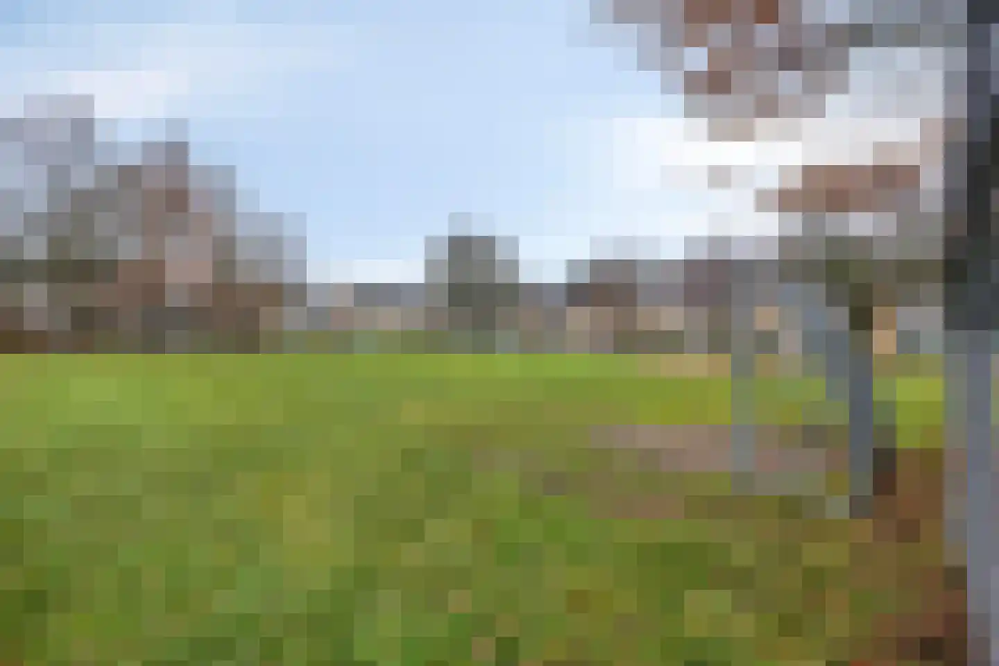 Gruytersstraat 3 Stein thumbnail 27
