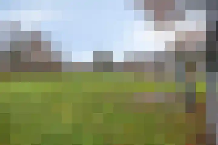 Gruytersstraat 3 Stein thumbnail 34