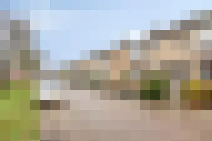 Gruytersstraat 3 Stein thumbnail 4