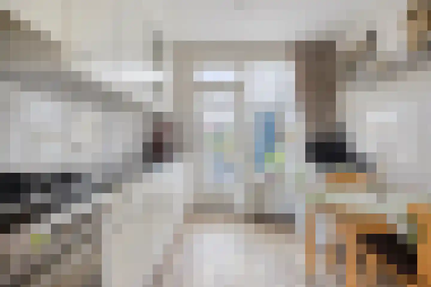 Gruytersstraat 3 Stein thumbnail 8