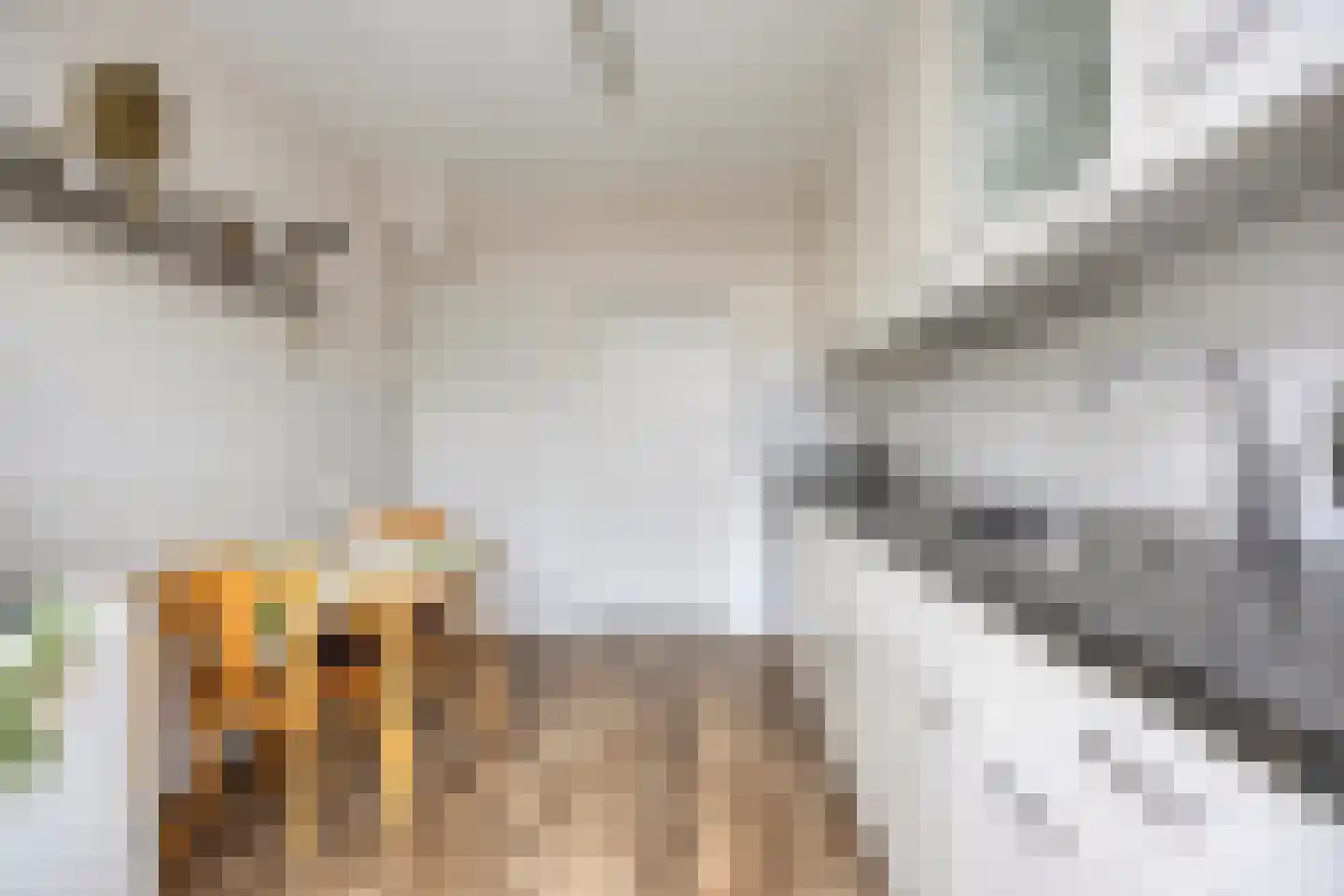 Gruytersstraat 3 Stein thumbnail 9