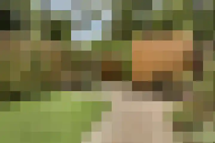 Gruythof 13 Terheijden thumbnail 21
