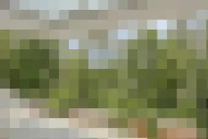 Gruythof 13 Terheijden thumbnail 24