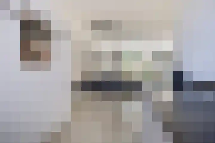 Gruythof 13 Terheijden thumbnail 7