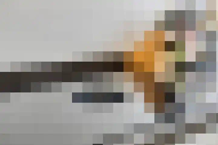 Gruythof 13 Terheijden thumbnail 8