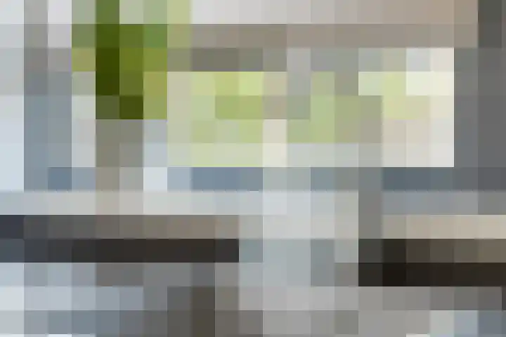 Gruythof 13 Terheijden thumbnail 9