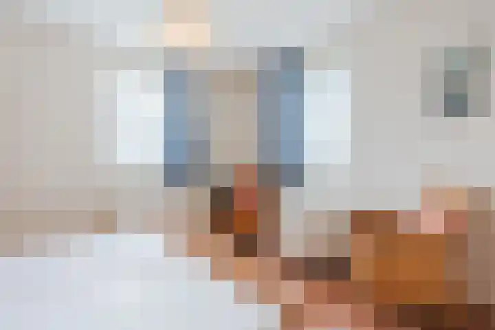 Gruythuysenlaan 13 Hoogeveen thumbnail 24