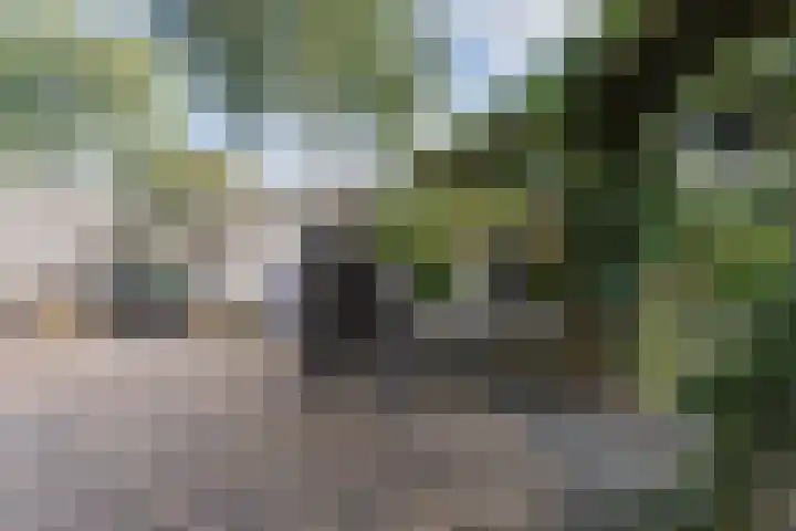 Gruythuysenlaan 13 Hoogeveen thumbnail 38