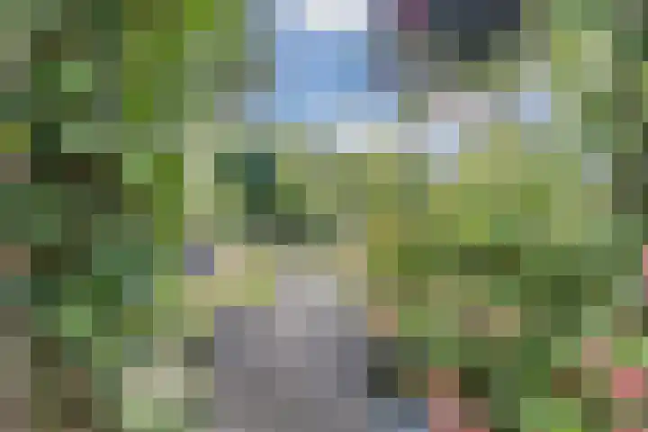 Gruythuysenlaan 13 Hoogeveen thumbnail 39