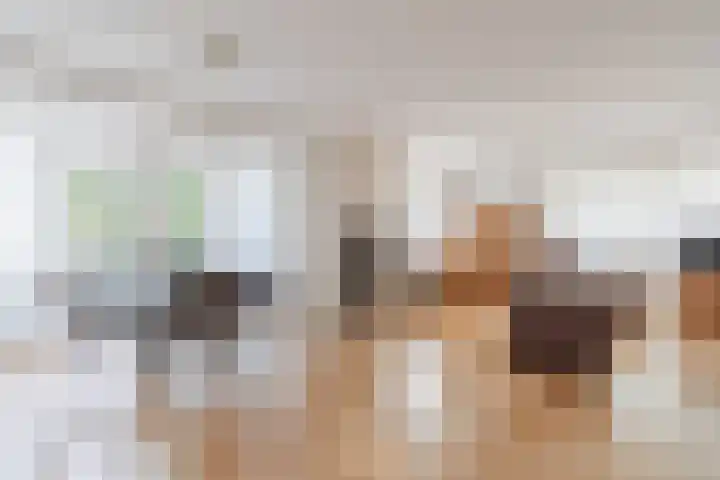 Gruythuysenlaan 13 Hoogeveen thumbnail 4