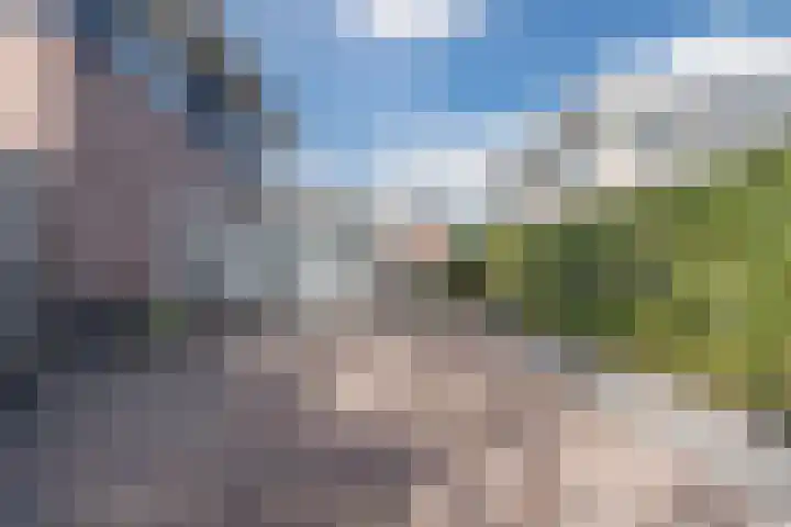 Gruythuysenlaan 13 Hoogeveen thumbnail 43