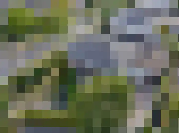 Gruythuysenlaan 13 Hoogeveen thumbnail 46