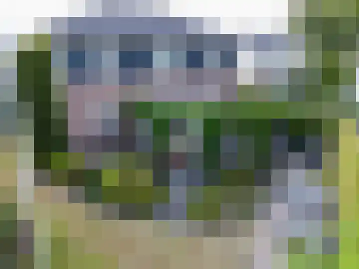 Gruythuysenlaan 13 Hoogeveen thumbnail 47