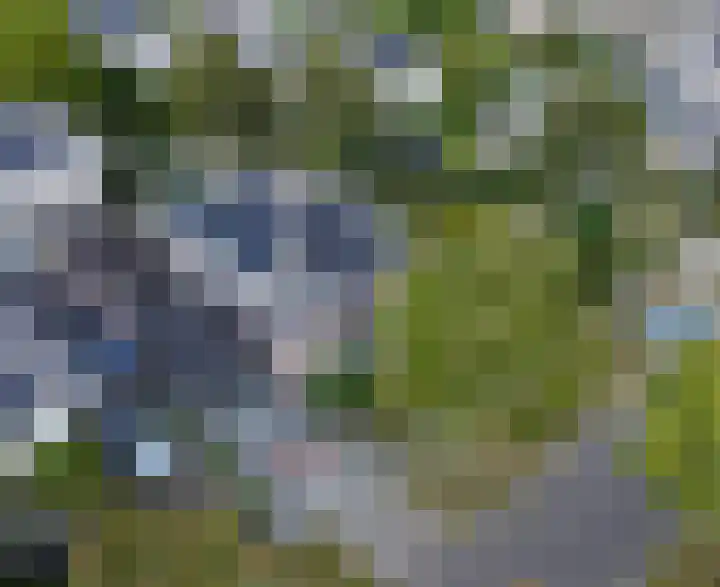 Gruythuysenlaan 13 Hoogeveen thumbnail 48