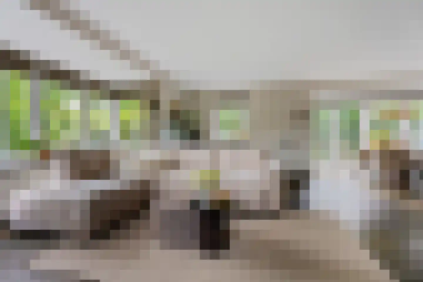 Gruythuysenlaan 9 Hoogeveen thumbnail 10