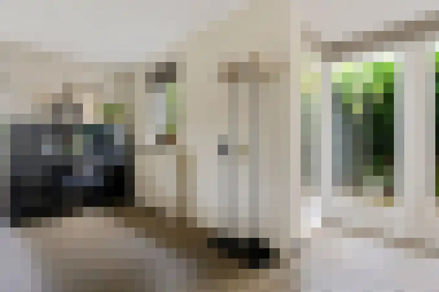Gruythuysenlaan 9 Hoogeveen thumbnail 11