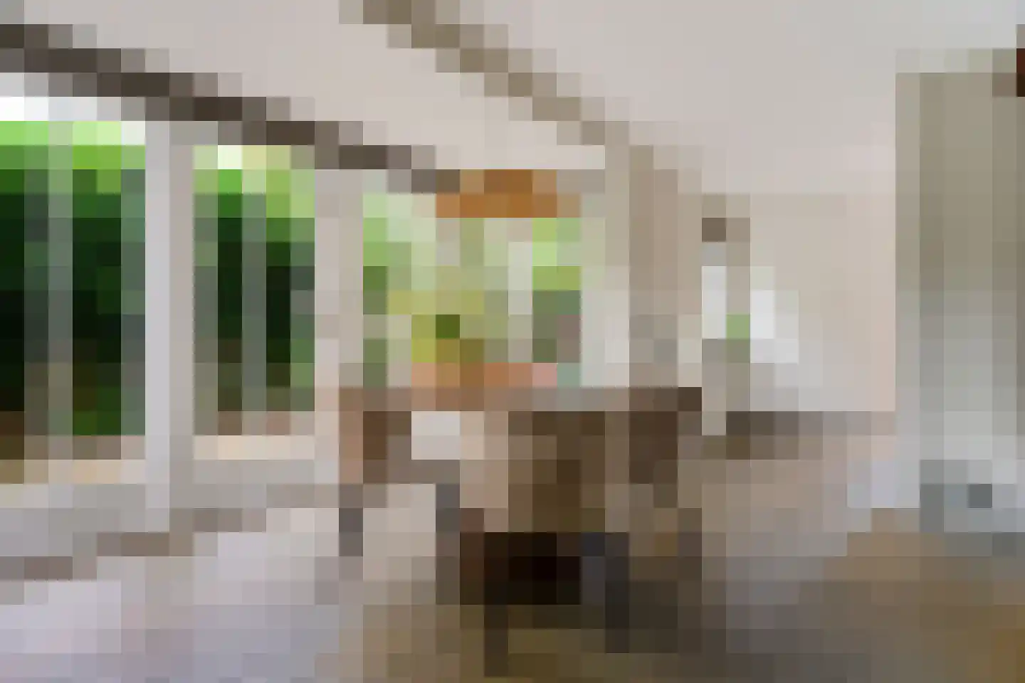Gruythuysenlaan 9 Hoogeveen thumbnail 12