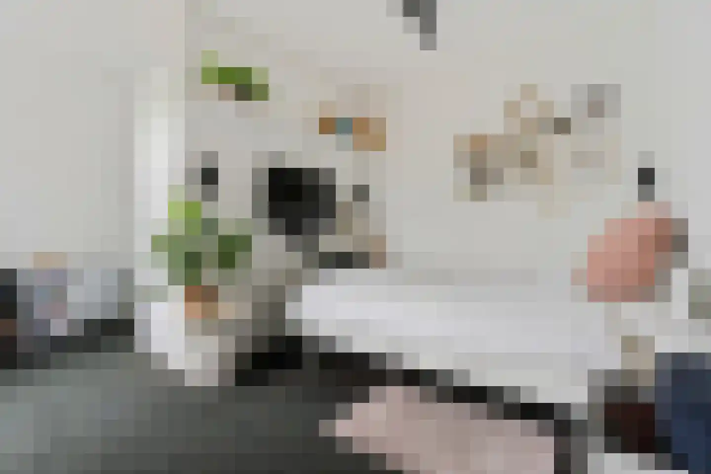 Gruythuysenlaan 9 Hoogeveen thumbnail 20