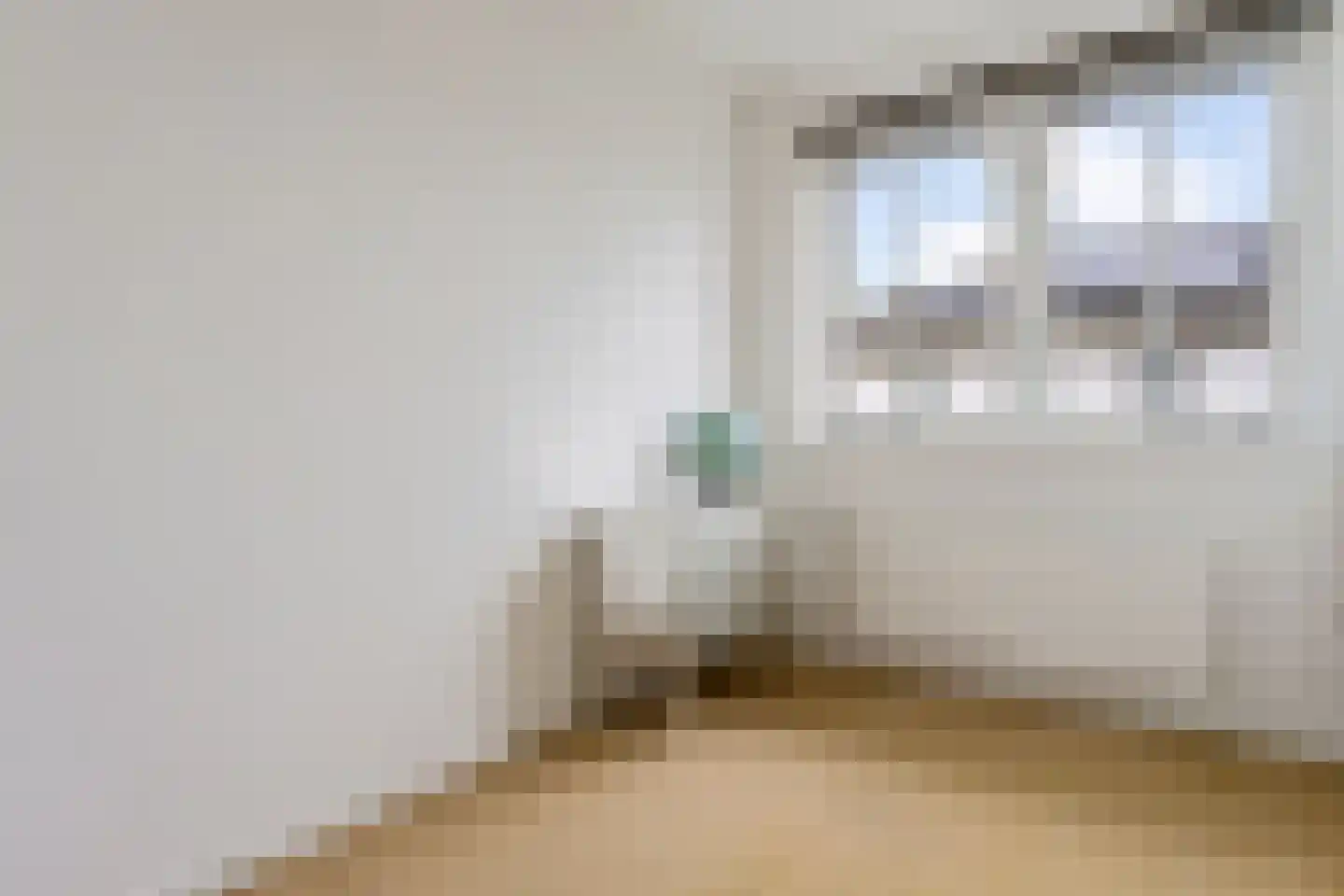 Gruythuysenlaan 9 Hoogeveen thumbnail 25