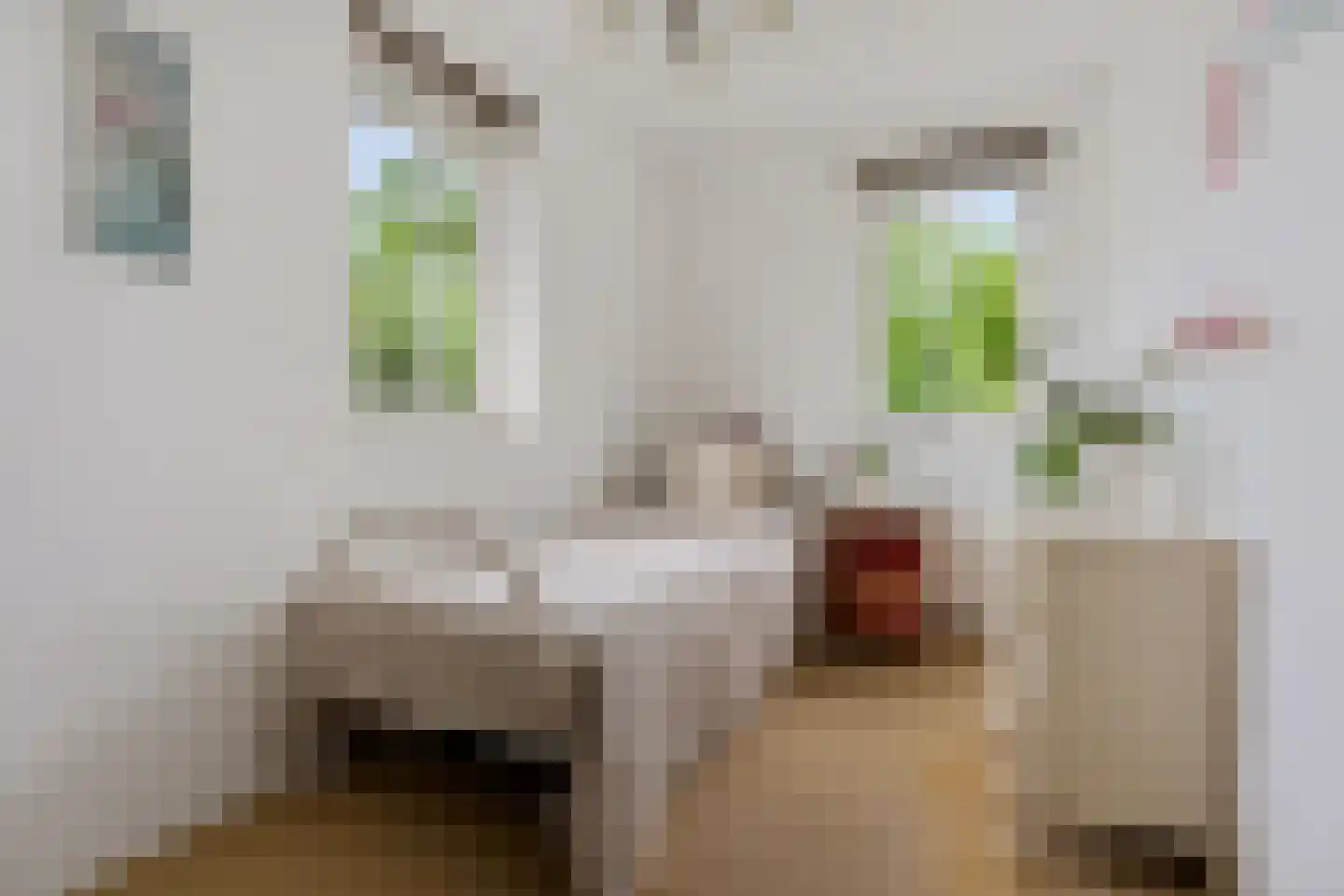 Gruythuysenlaan 9 Hoogeveen thumbnail 31