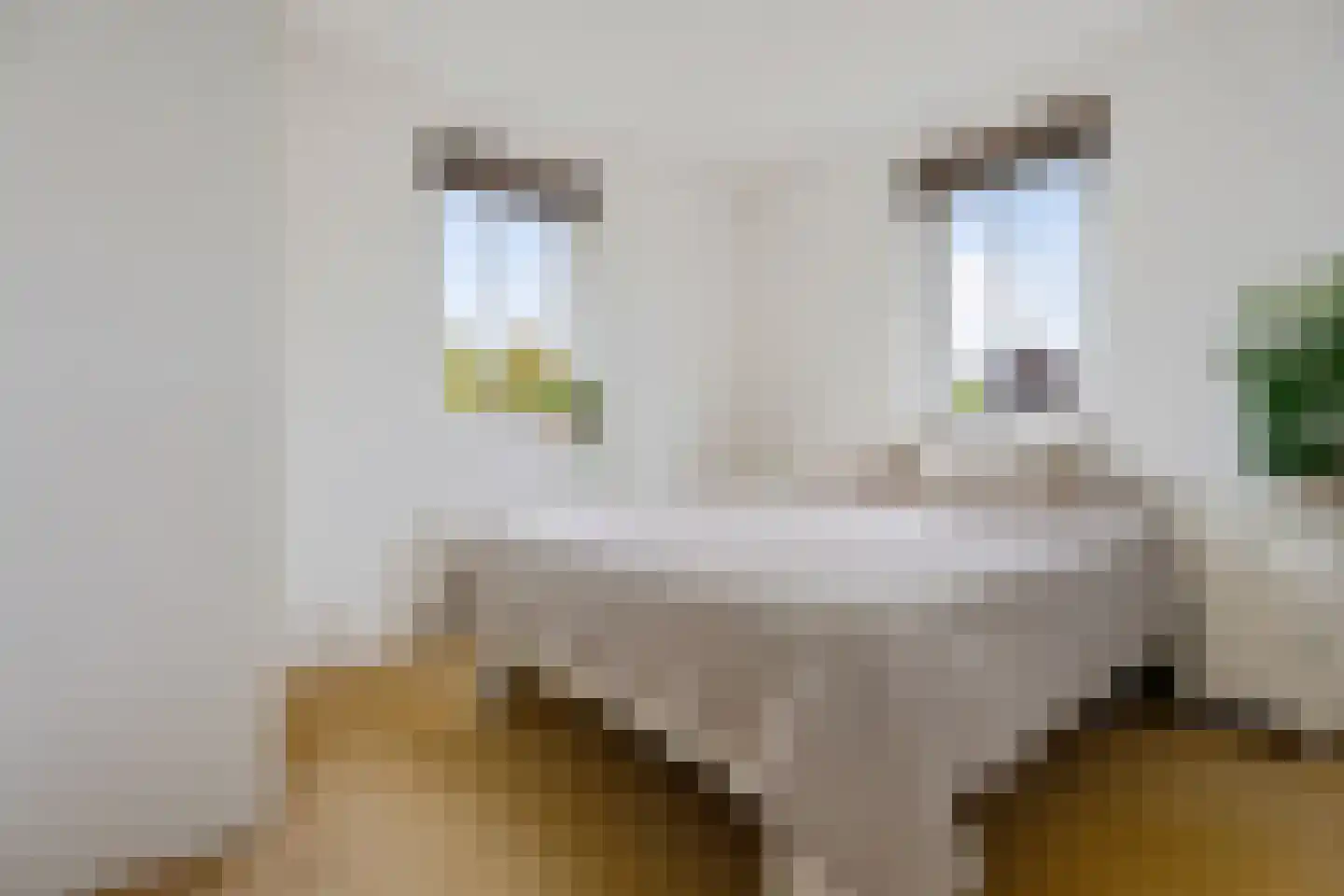 Gruythuysenlaan 9 Hoogeveen thumbnail 33