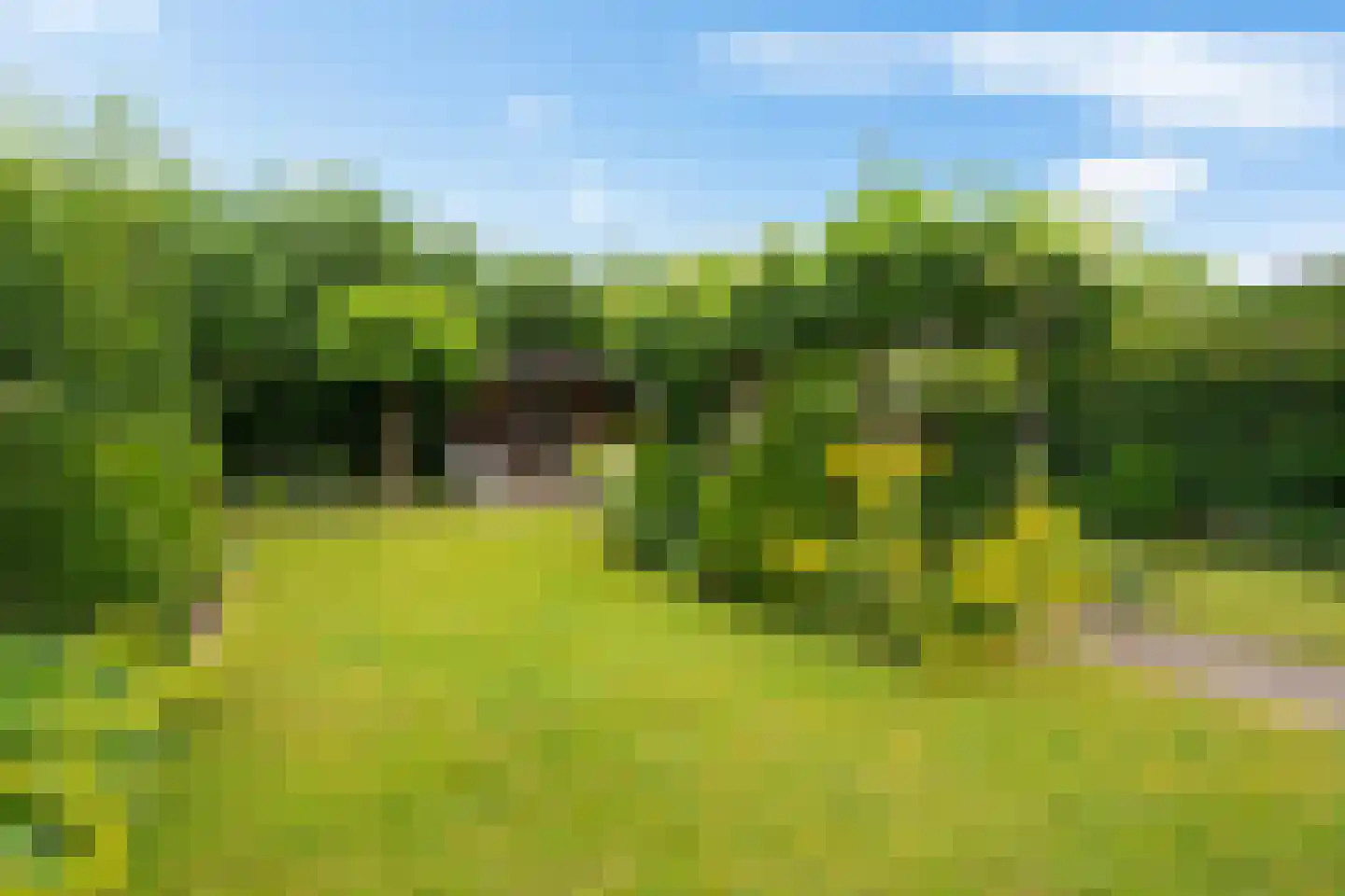 Gruythuysenlaan 9 Hoogeveen thumbnail 41