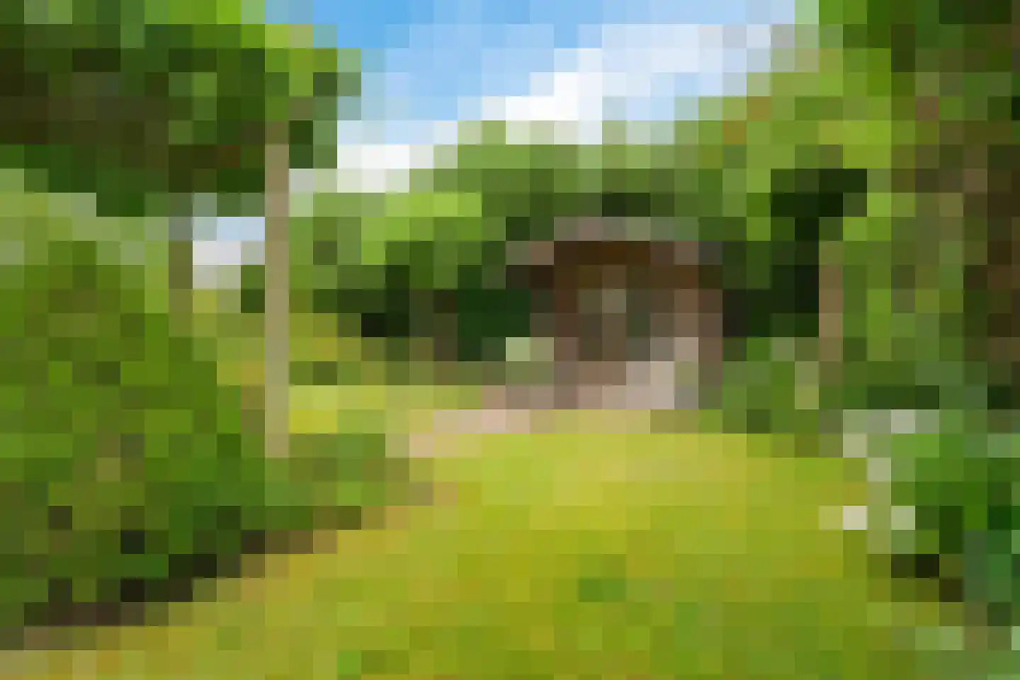 Gruythuysenlaan 9 Hoogeveen thumbnail 43