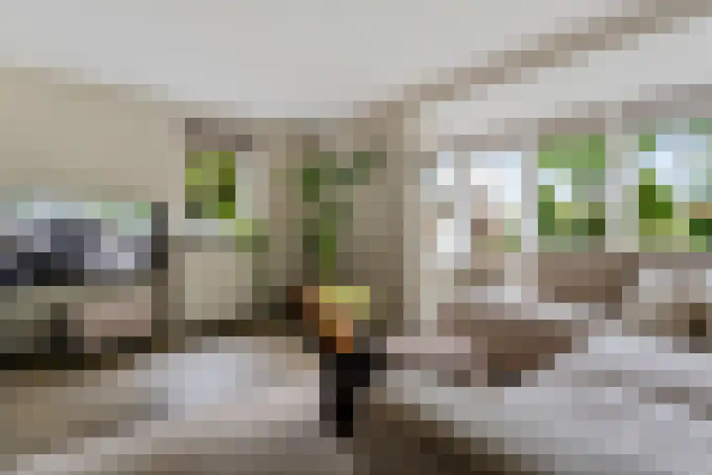 Gruythuysenlaan 9 Hoogeveen thumbnail 8