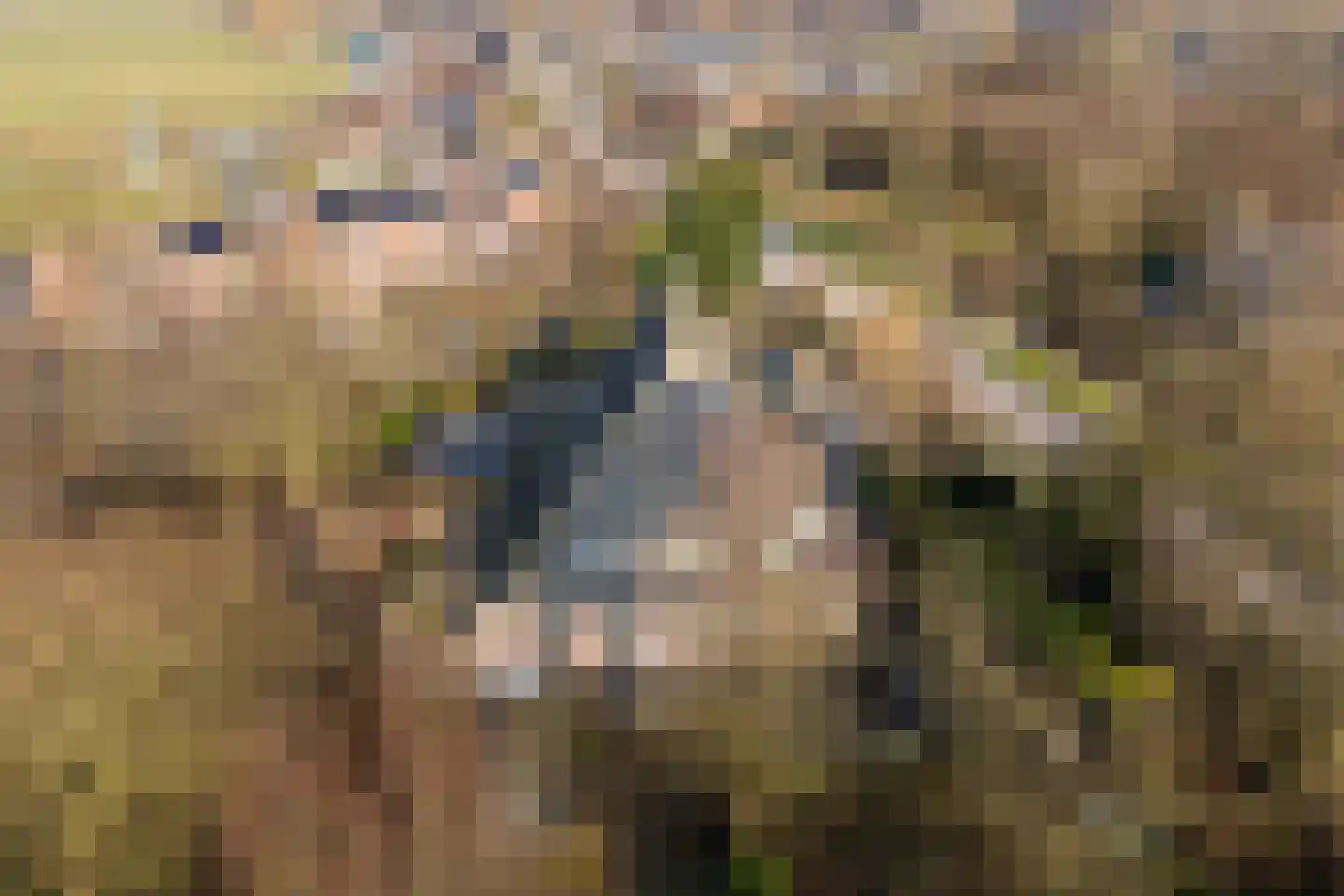 Grytmanswei 1 Nijewier thumbnail 100