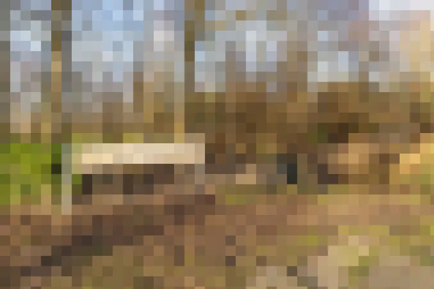 Grytmanswei 1 Nijewier thumbnail 101