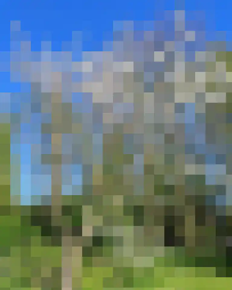 Grytmanswei 1 Nijewier thumbnail 110
